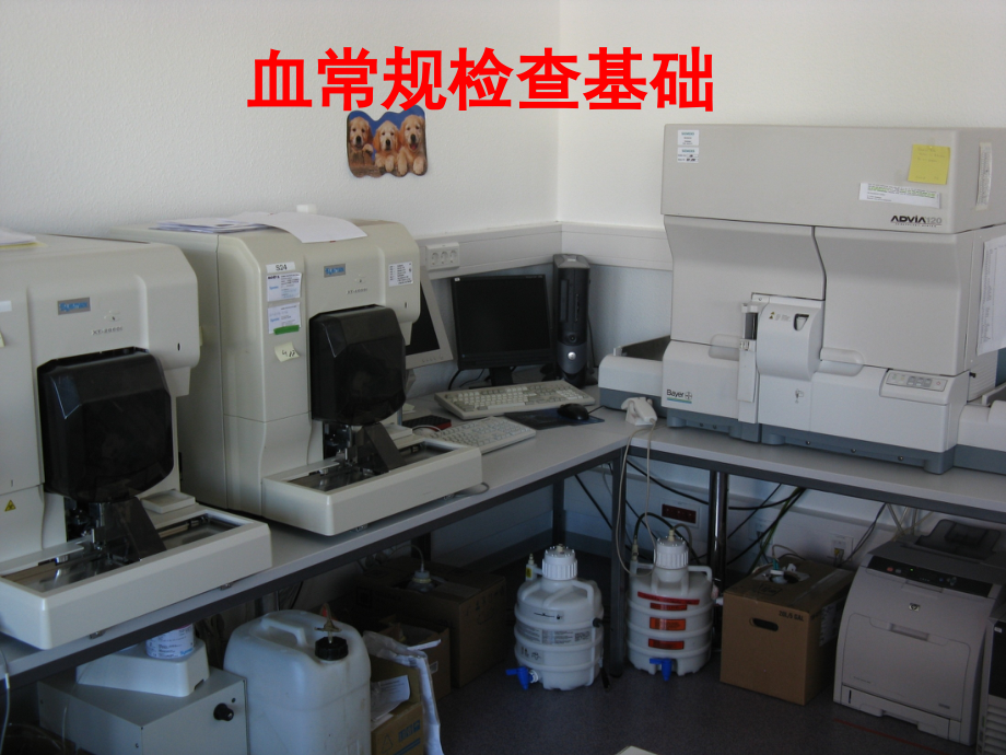 小动物血常规基础【可编辑的PPT文档】.ppt_第1页