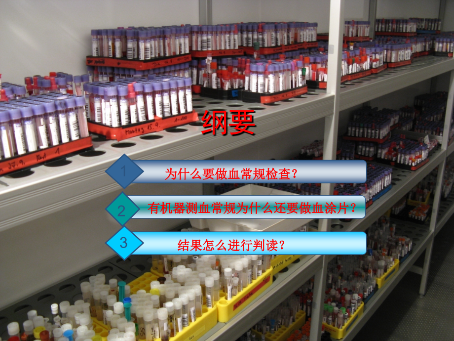 小动物血常规基础【可编辑的PPT文档】.ppt_第2页