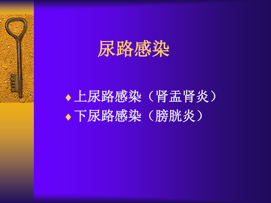 尿路感染PPT【可编辑的PPT文档】.ppt_第1页