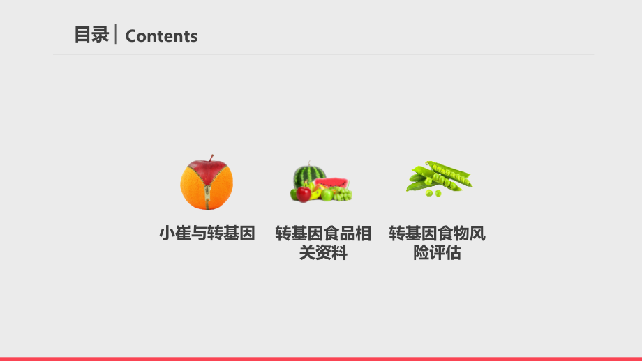 转基因食品风险评估.ppt_第2页