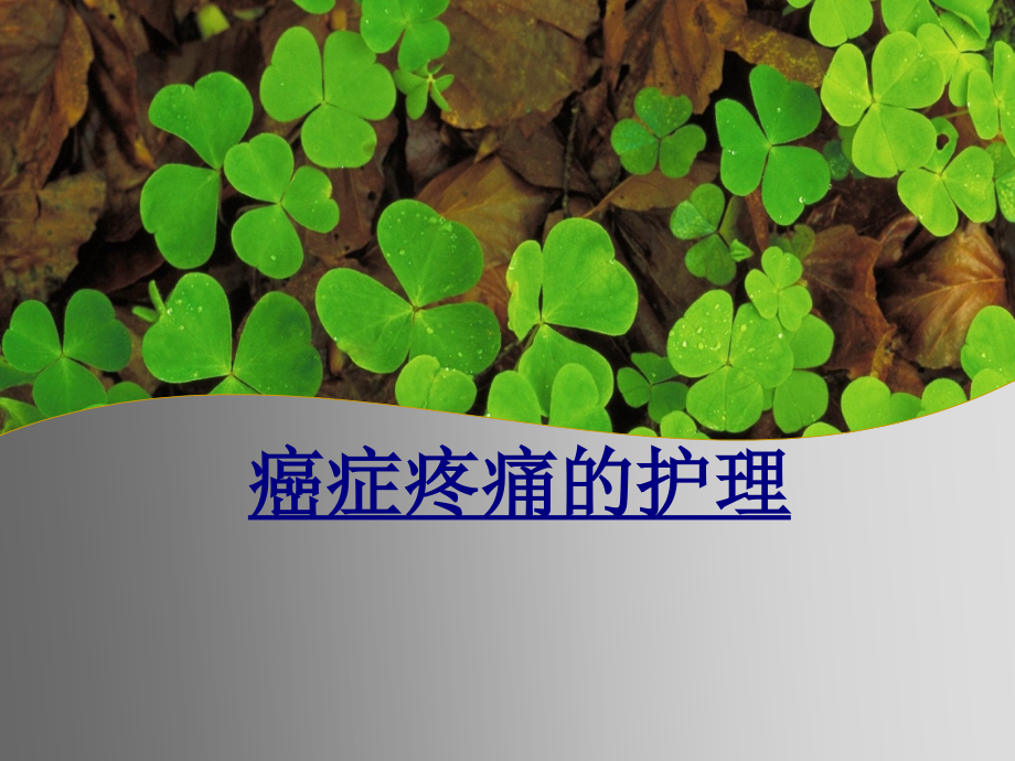 癌症疼痛的护理优质PPT课件.ppt_第1页
