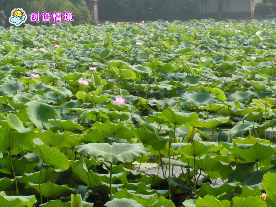 5.《江南》PPT课件.ppt_第2页