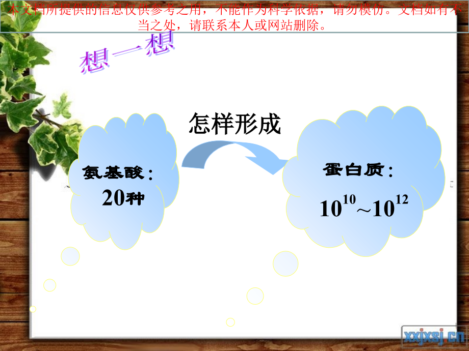 蛋白质结构功能多样性优质课件专业知识讲座.ppt_第1页