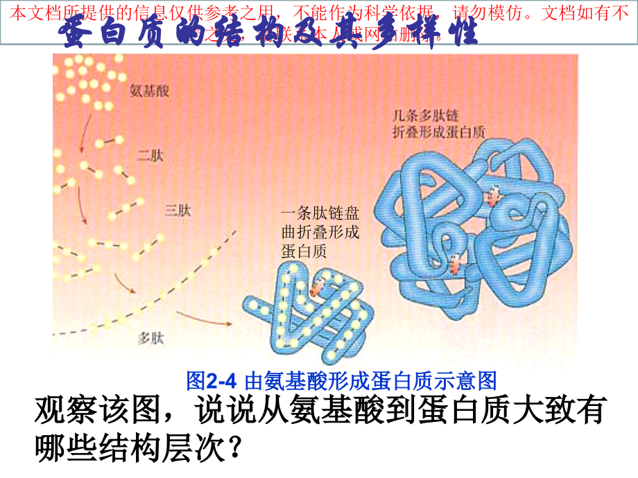 蛋白质结构功能多样性优质课件专业知识讲座.ppt_第2页