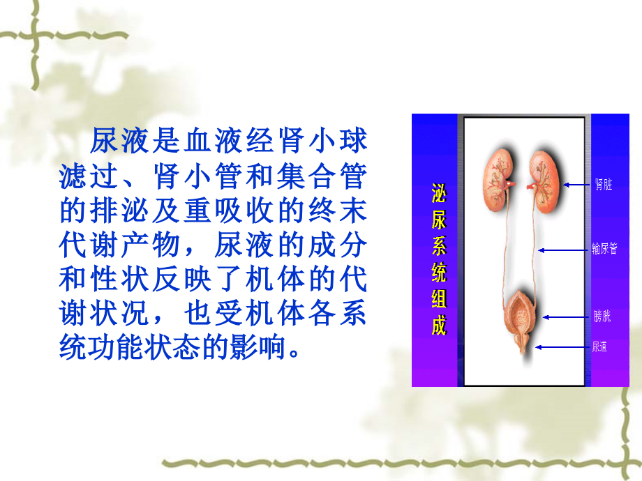 尿液检查(生化、物理、显微镜)(医学PPT课件).ppt_第2页