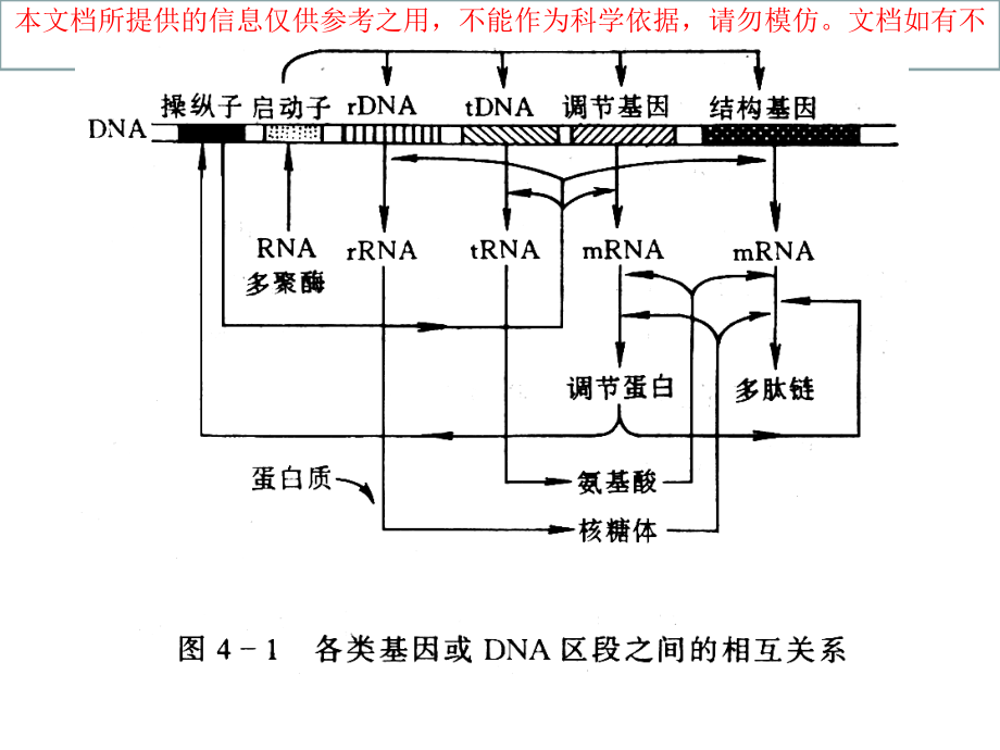 基因工程的操作步骤专业知识讲座.ppt_第2页