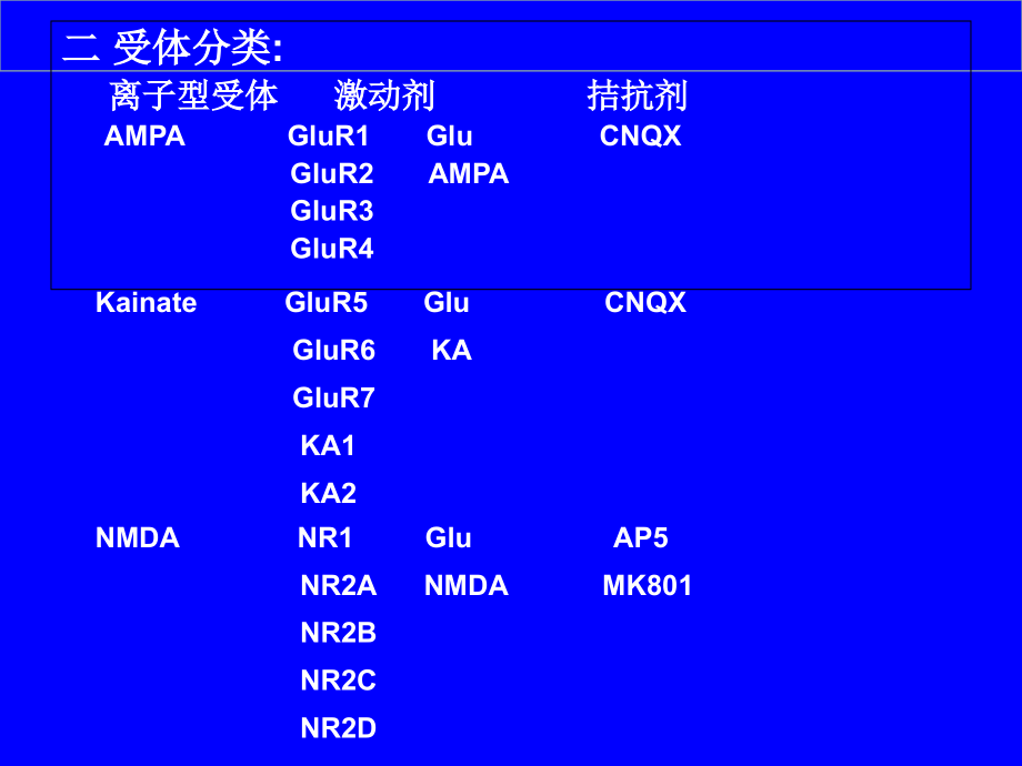 谷氨酸受体神经生物学课件.ppt_第2页
