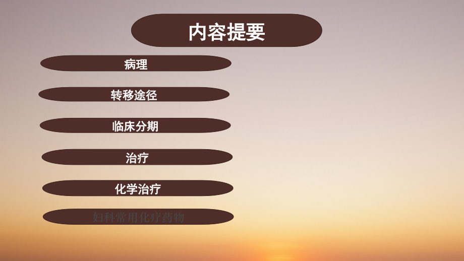 医学课件宫颈癌教案专业知识.ppt_第2页