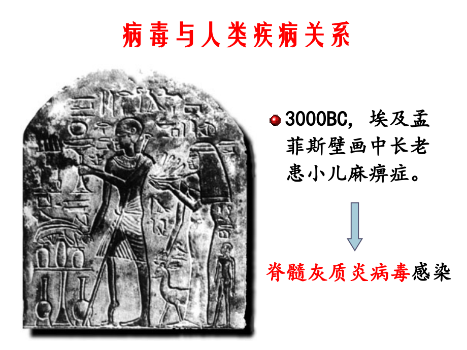 病毒的基本性状-优质PPT课件.ppt_第2页