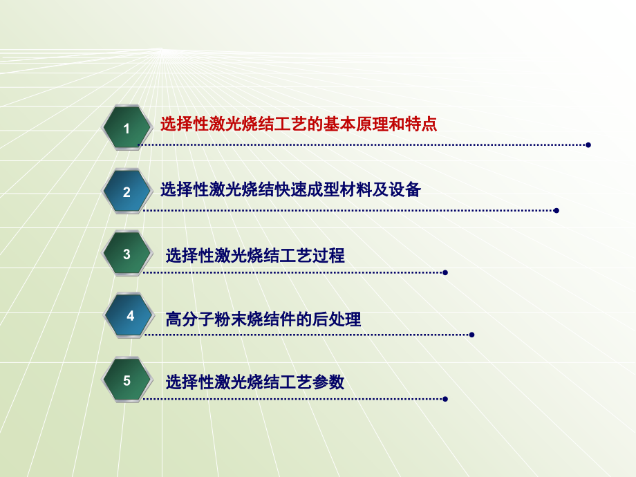 选择性激光烧结成型工艺.ppt_第2页