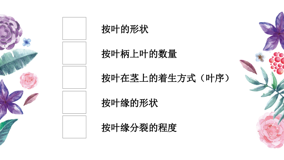 植物叶的区分.ppt_第1页