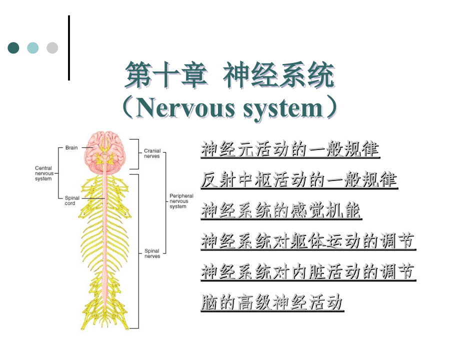 第十章+神经系统【Nervous+System】.ppt_第1页