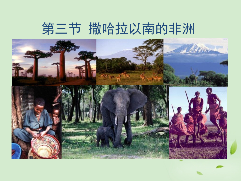 《第三节-撒哈拉以南的非洲》课件.ppt_第1页