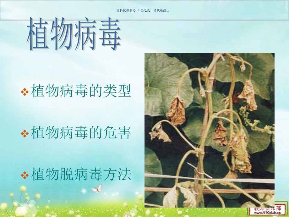 植物脱毒方法.ppt_第2页