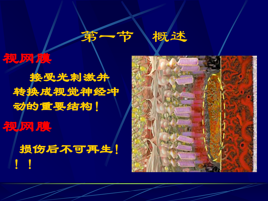 医学课件视网膜疾病专业知识.ppt_第2页