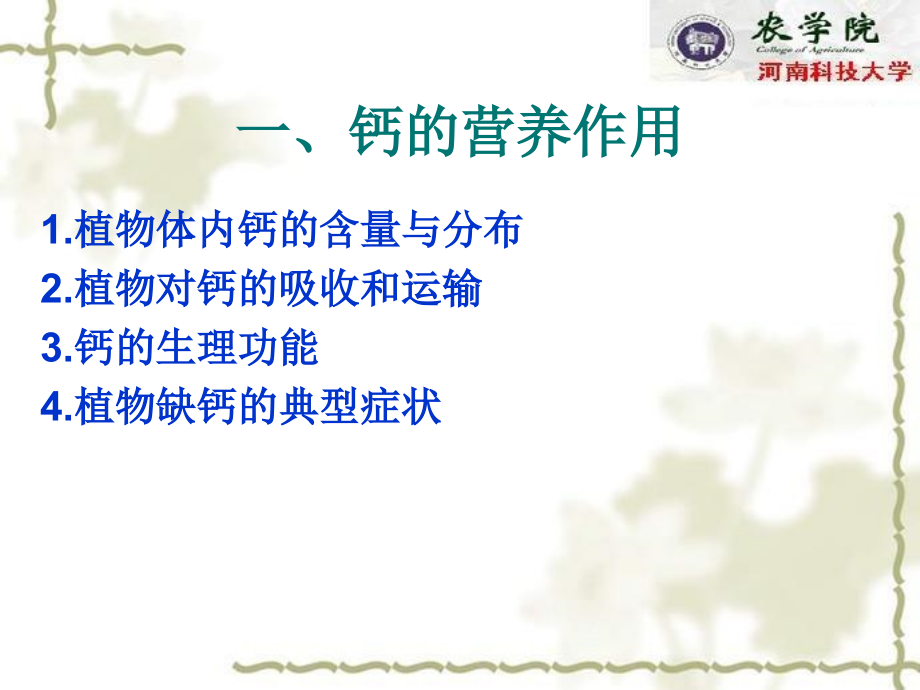 植物的钙镁硫营养及钙镁硫肥.ppt_第2页