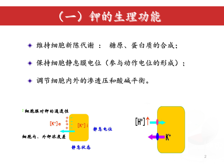 正常钾代谢及钾代谢.ppt_第2页