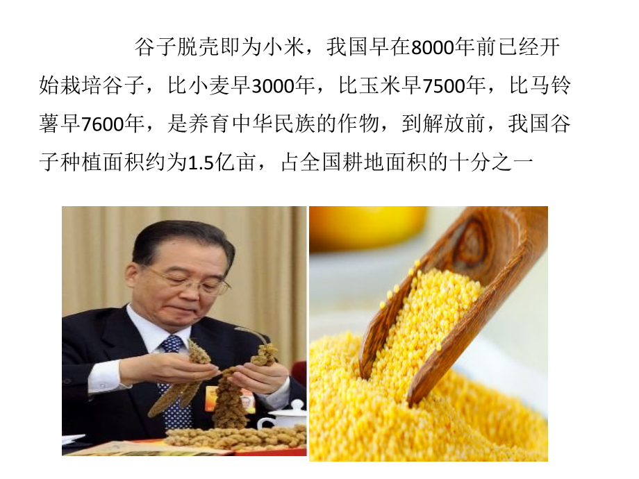 小米营养价值.pptx_第2页