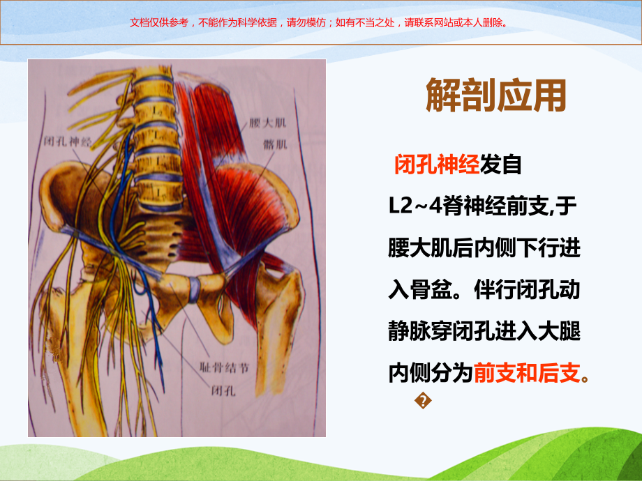 闭孔神经阻滞课件.ppt_第1页