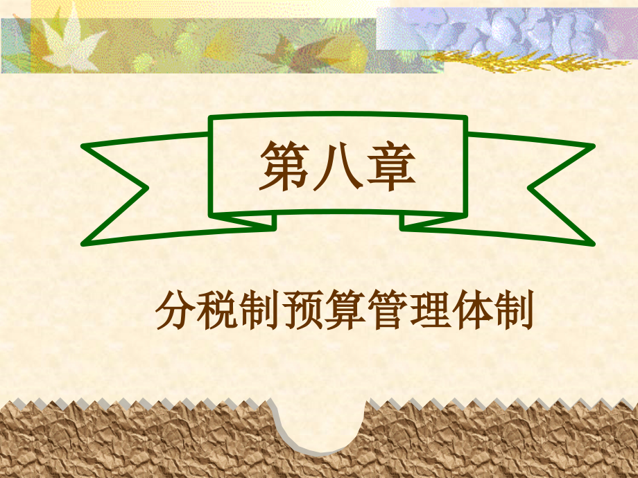 第八章-分税制预算管理体制.ppt_第1页