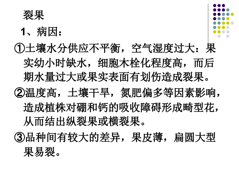 西红柿生理病害.ppt_第2页