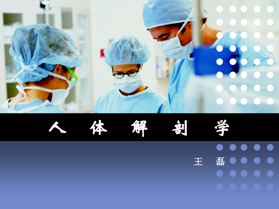 小脑、间脑-系统解剖学-课件(医学PPT课件).ppt_第1页