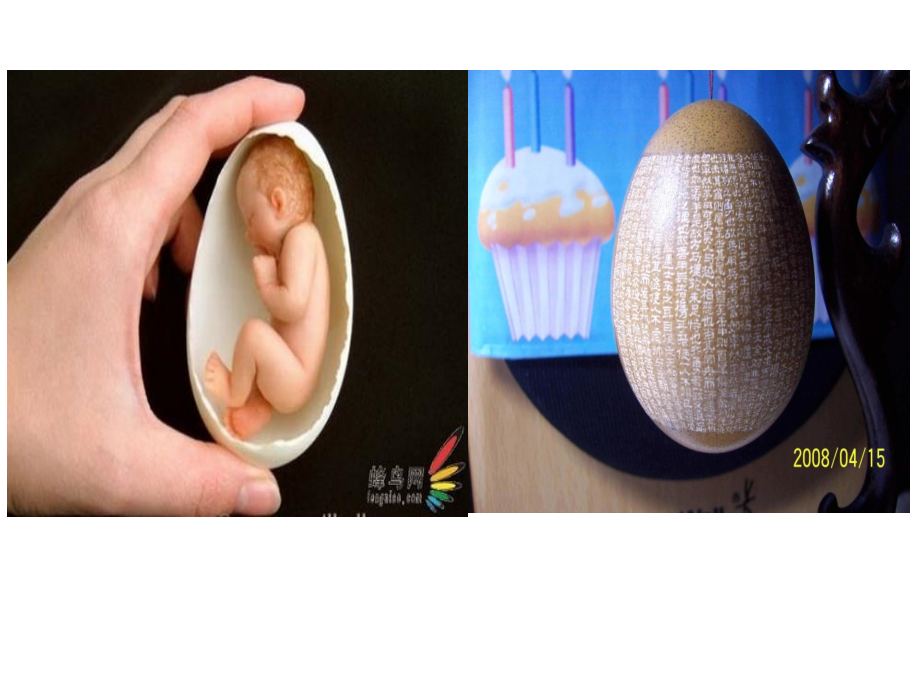 《核舟记》课件.ppt_第2页