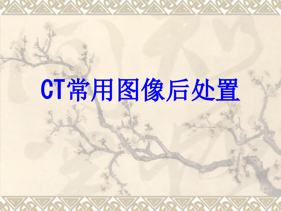 CT常用图像后处置.ppt_第1页