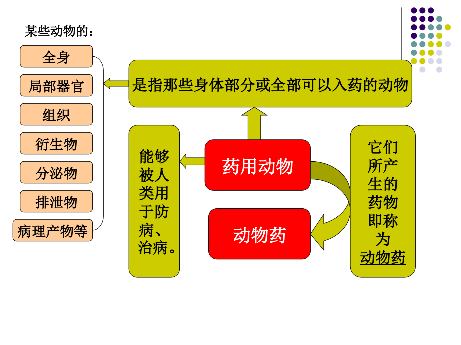 药用动物养殖和动物药材生产的历史发展和现状.ppt_第2页