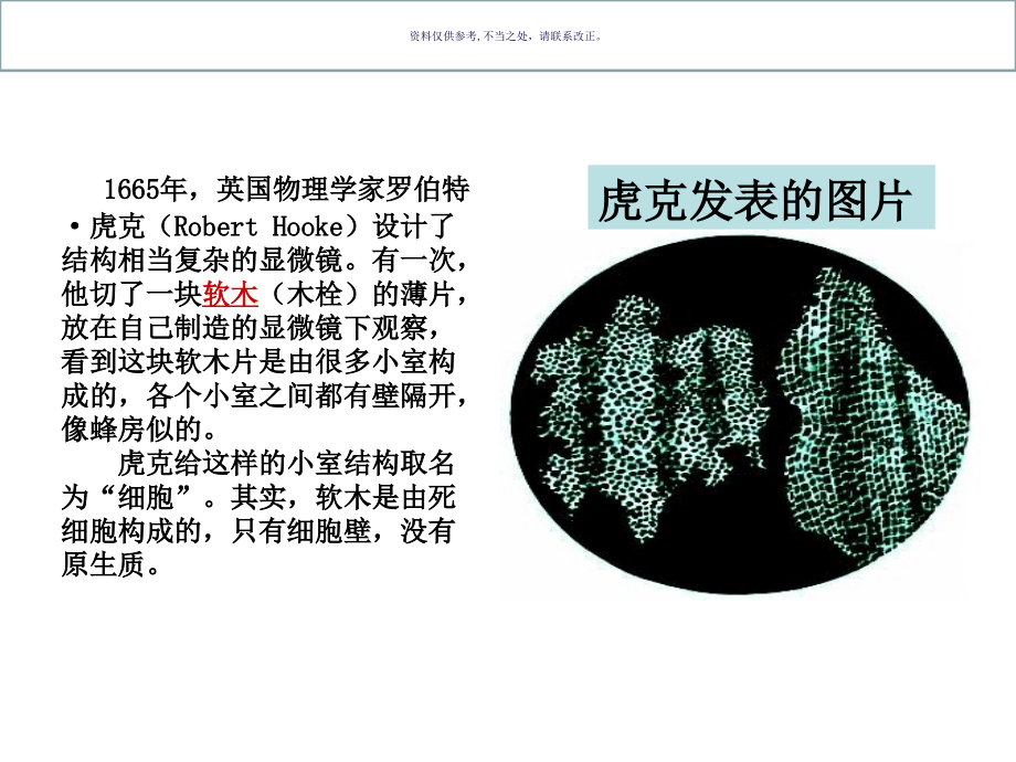 植物的细胞医学宣教.ppt_第2页