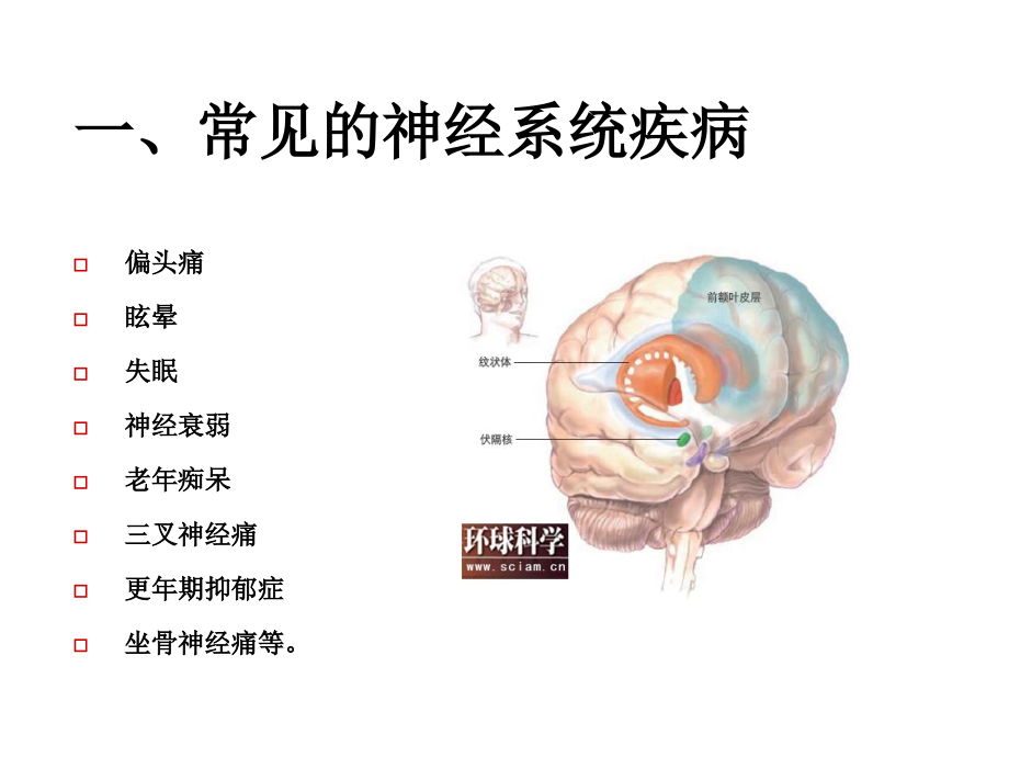 医学课件神经系统常见疾病专题宣讲.ppt_第1页