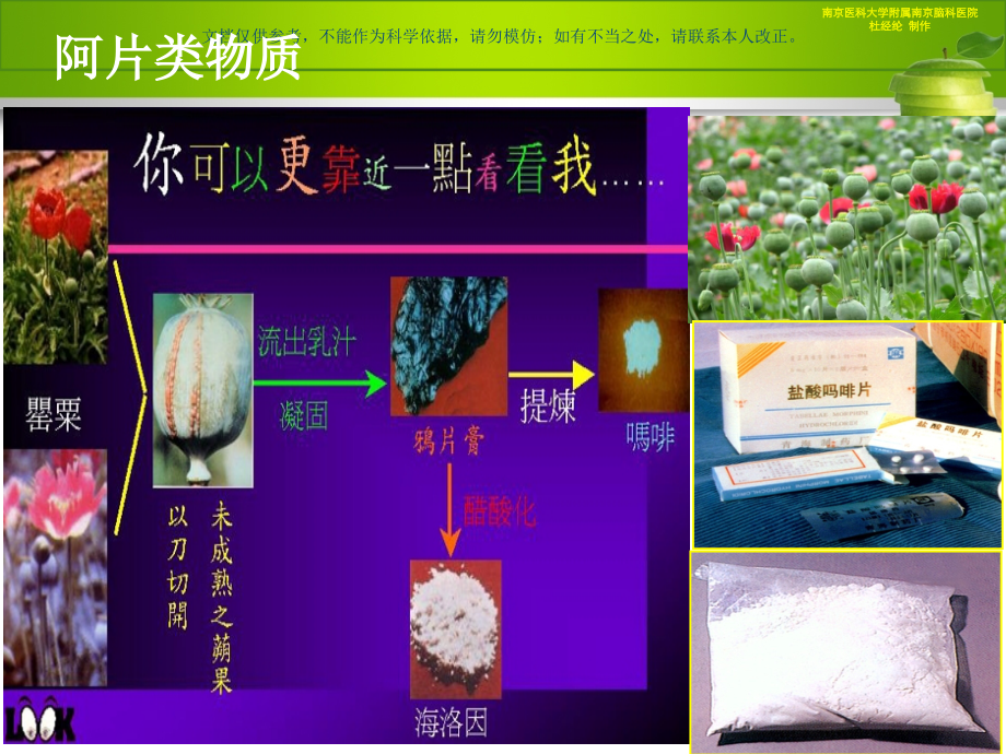 常见的毒品种类课件.ppt_第2页