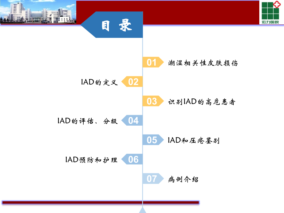 医学课件失禁性皮炎专业医学知识宣讲.ppt_第1页