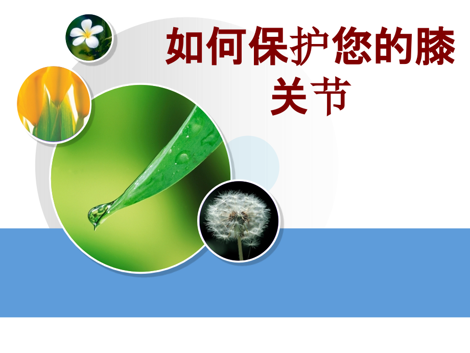医学如何保护您的膝关节.ppt_第1页