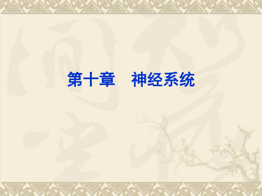 第十章-神经生理.ppt_第1页