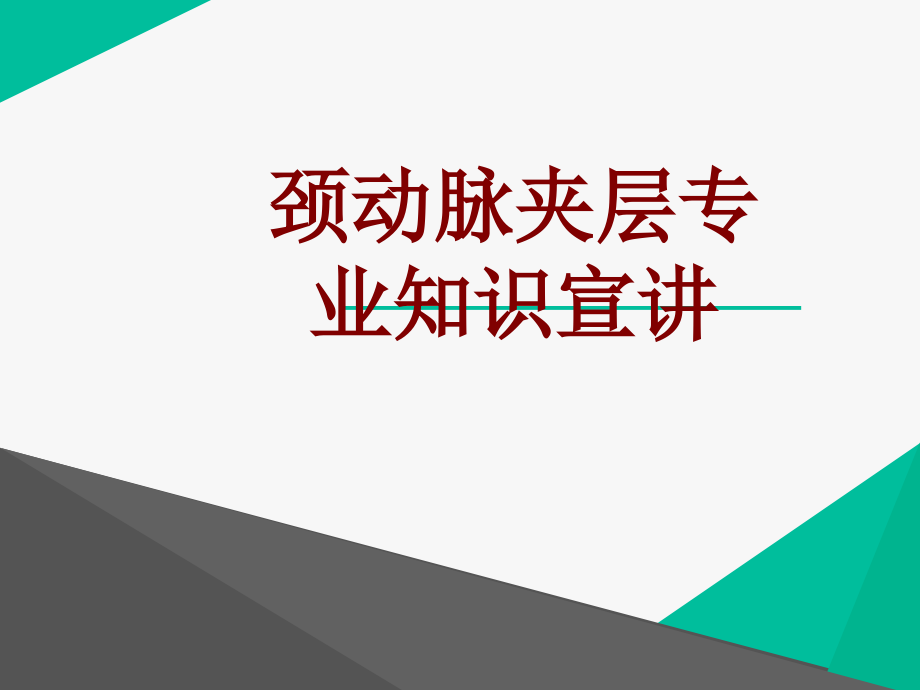 医学颈动脉夹层专业知识宣讲.ppt_第1页