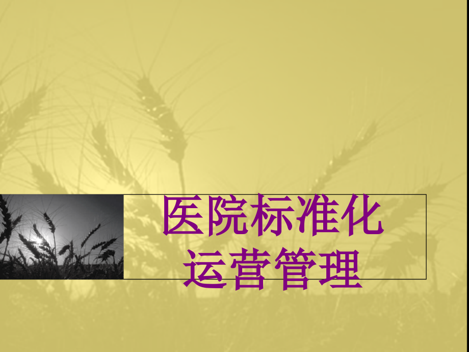 医院标准化运营管理课件.ppt_第1页