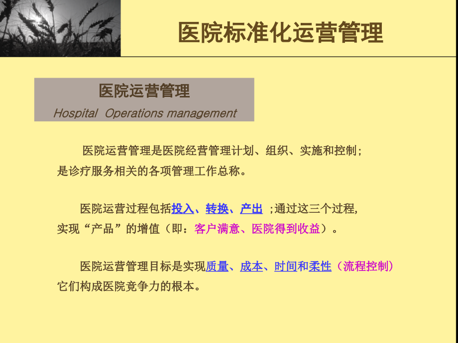 医院标准化运营管理课件.ppt_第2页