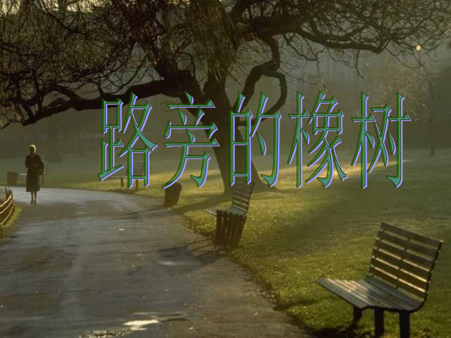 8.路旁的橡树b.ppt_第1页