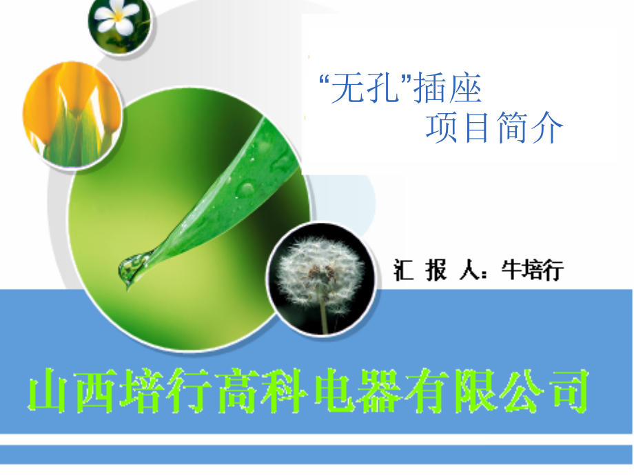 无孔插座项目简介.ppt_第1页