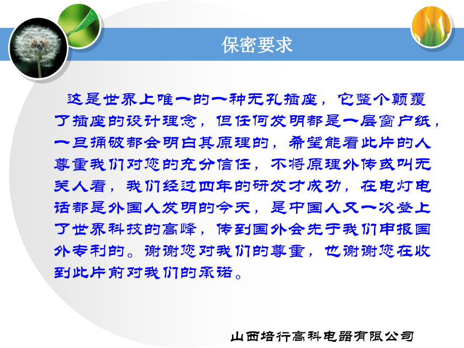 无孔插座项目简介.ppt_第2页