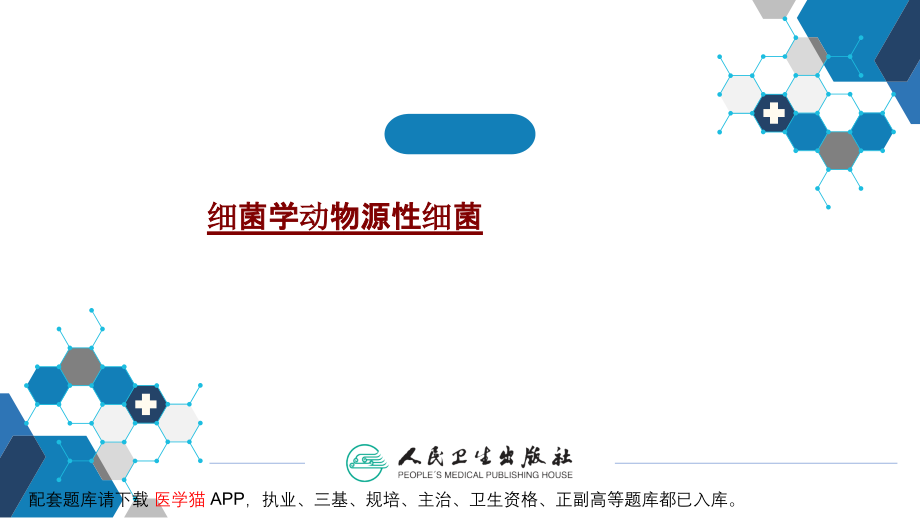 医学细菌学动物源性细菌.pptx_第1页