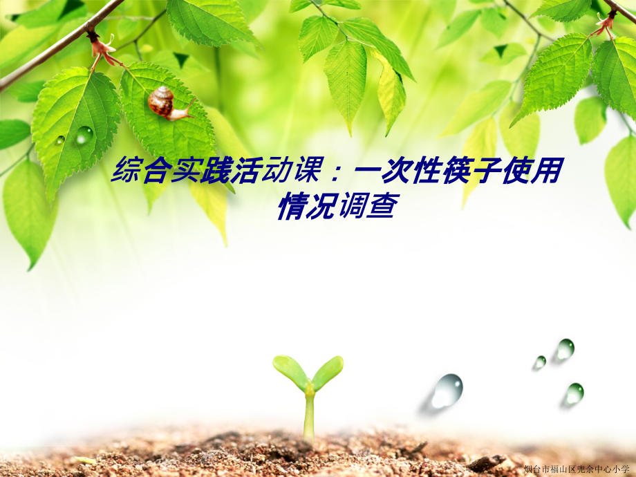 综合实践活动课一次性筷子使用情况调查.ppt_第1页