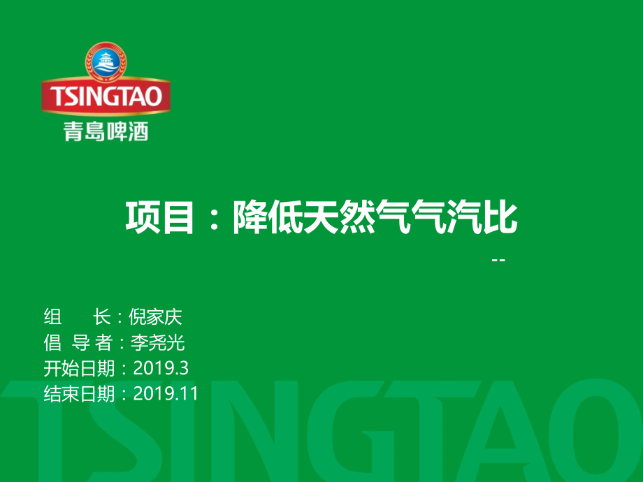 潍坊-六西格玛-降低天然气气汽比.pptx_第1页