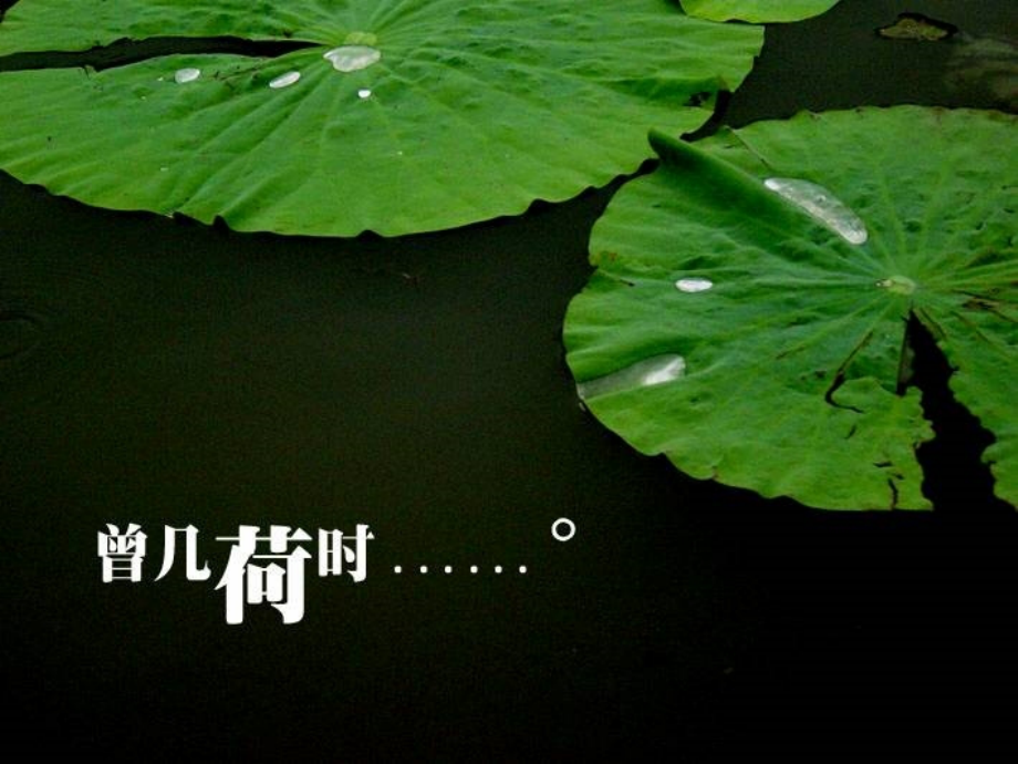 荷塘月色ppt课件(上课).ppt_第2页