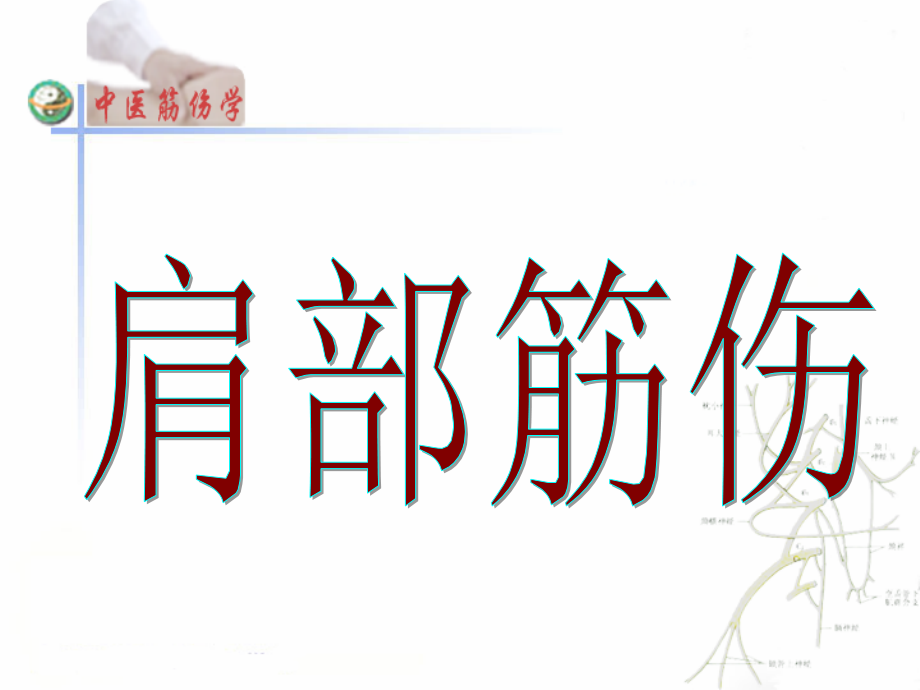 肩部筋伤2.ppt_第1页