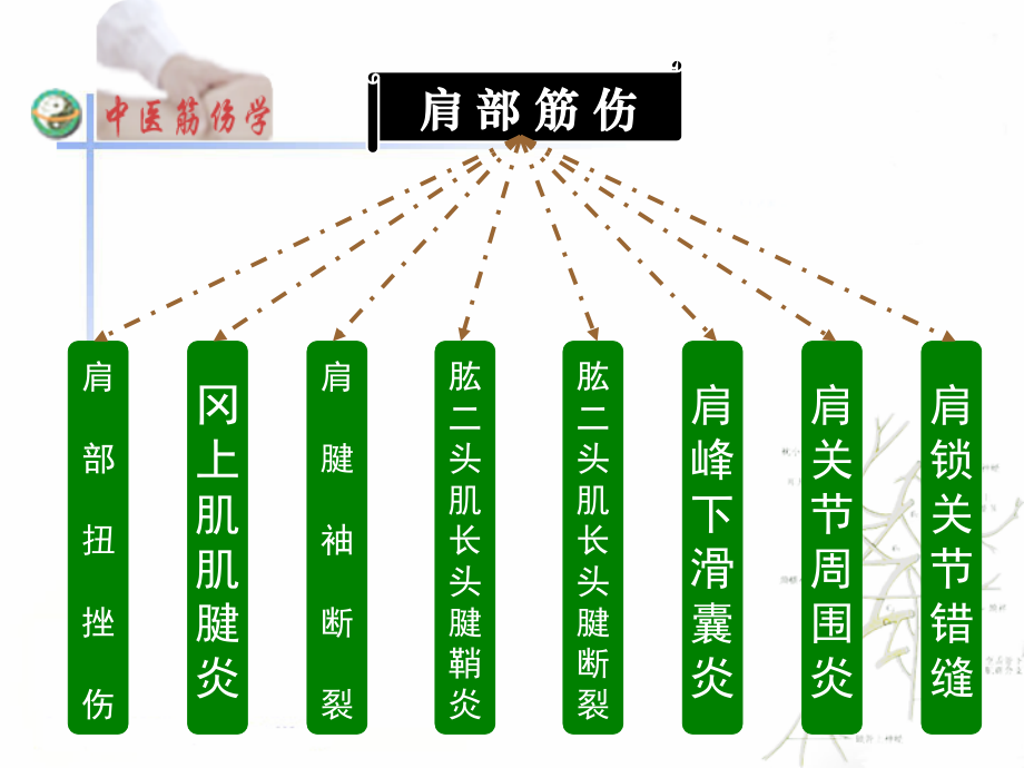 肩部筋伤2.ppt_第2页
