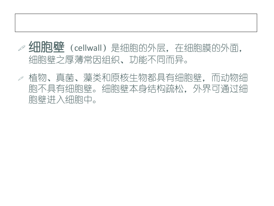 植物细菌真菌细胞壁的比较.ppt_第1页