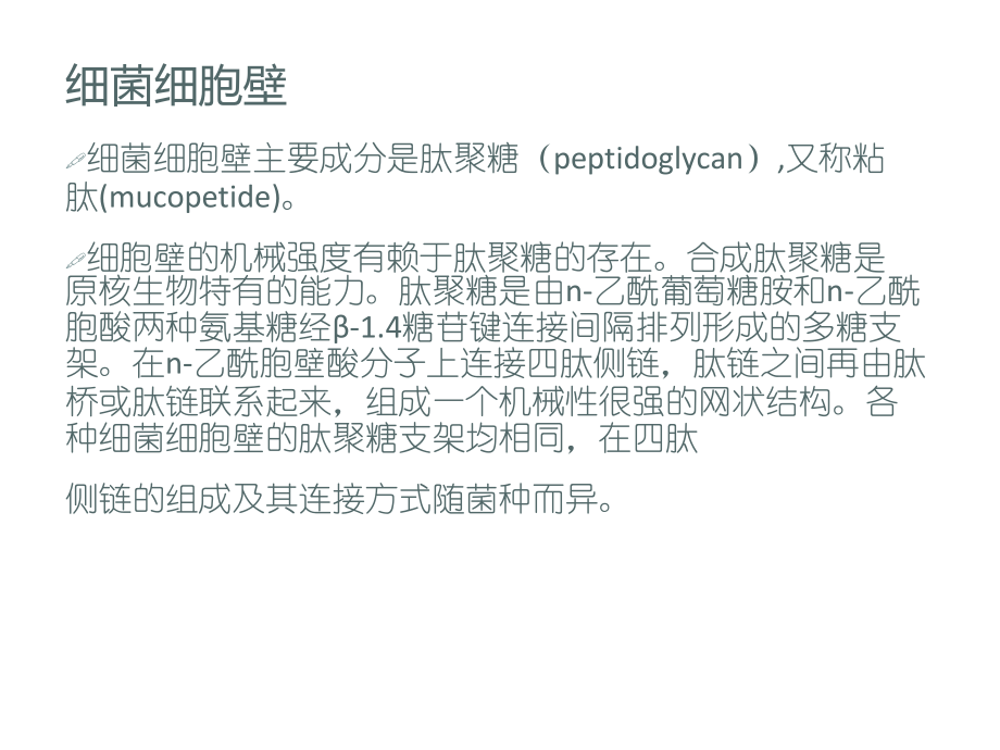 植物细菌真菌细胞壁的比较.ppt_第2页