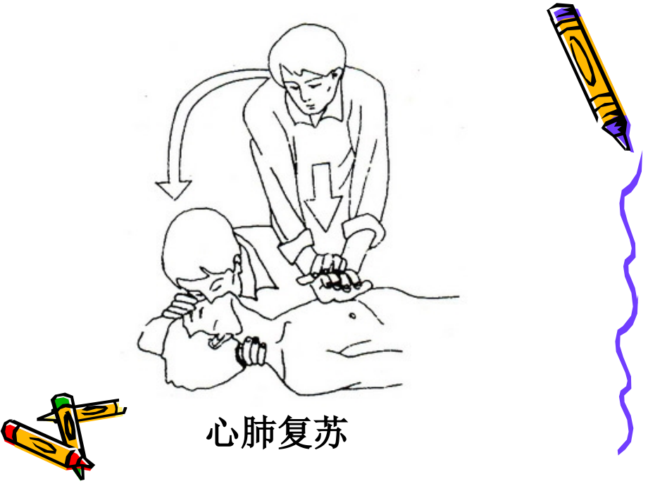 血液循环医学知识宣讲优质PPT课件.ppt_第2页